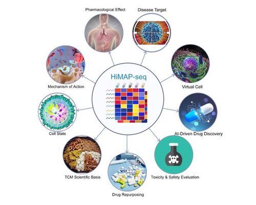 王棟、鄧赟與許俊泉團(tuán)隊(duì)開發(fā)HiMAP-seq新技術(shù)并構(gòu)建三億量級(jí)藥物基因表達(dá)數(shù)據(jù)庫CIGS，引領(lǐng)生物技術(shù)新前沿