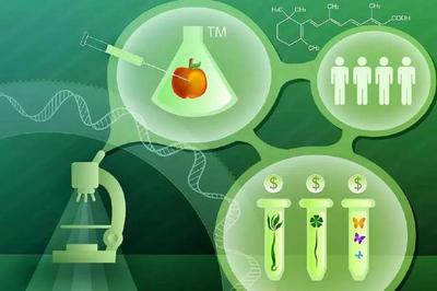 生物技術(shù)研究與開發(fā) 農(nóng)學(xué)領(lǐng)域的璀璨明星，打造職場新寵的十大專業(yè)路徑